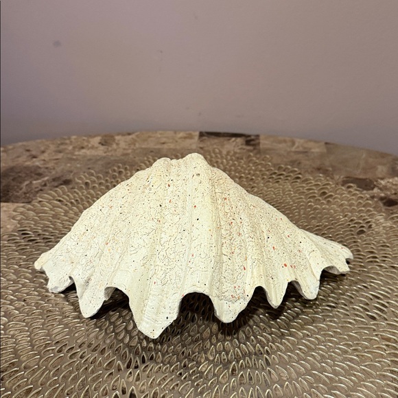 Decorative Shell Dish - Picture 7 of 12